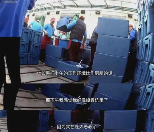 天津小学生配餐爆料视频,揭露校园食品安全疑云 第1张 天津小学生配餐爆料视频,揭露校园食品安全疑云 第1张