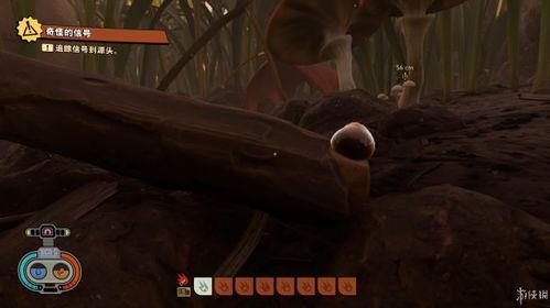 禁闭求生最新爆料,揭秘神秘禁闭室的生存挑战与惊悚真相  第3张