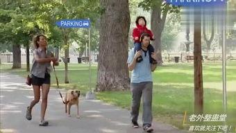 小光搞笑爆料大全视频,笑料百出，揭秘娱乐圈幕后趣闻  第2张